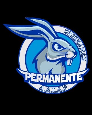 Logo Associação Acadêmica Integrada Atlética Permanente